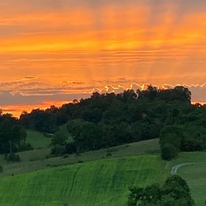 Extra shipping label!